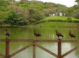 piscina tipo poza